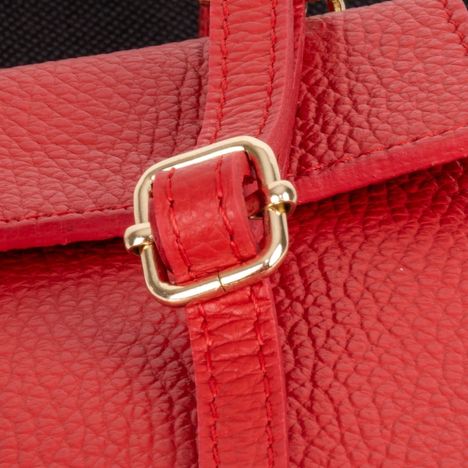 Picoletta Mobile Phone & Purse Clutch Shoulder & Crossbody bag