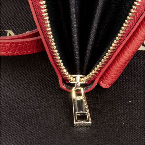 Picoletta Mobile Phone & Purse Clutch Shoulder & Crossbody bag