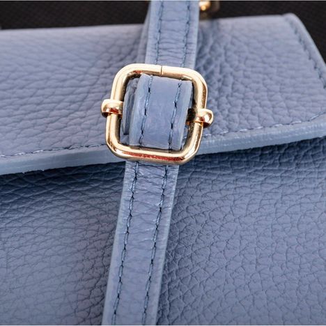 Picoletta Mobile Phone & Purse Clutch Shoulder & Crossbody bag
