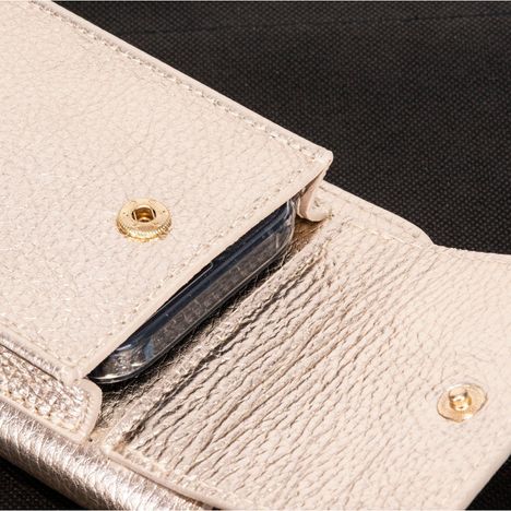 Picoletta Mobile Phone & Purse Clutch Shoulder & Crossbody bag