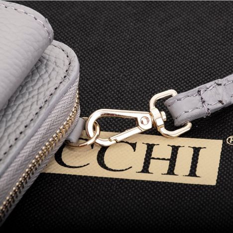 Picoletta Mobile Phone & Purse Clutch Shoulder & Crossbody bag