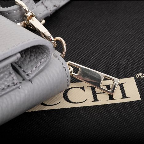 Picoletta Mobile Phone & Purse Clutch Shoulder & Crossbody bag