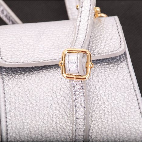 Picoletta Mobile Phone & Purse Clutch Shoulder & Crossbody bag