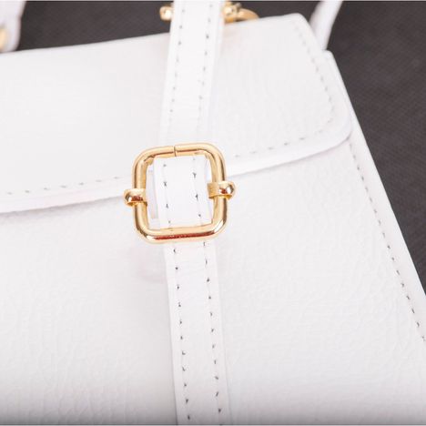 Picoletta Mobile Phone & Purse Clutch Shoulder & Crossbody bag